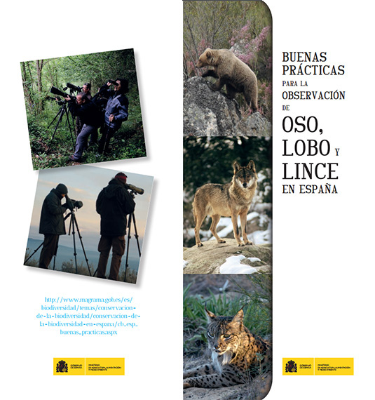 Buenas prácticas para la observación de oso, lobo y lince en España